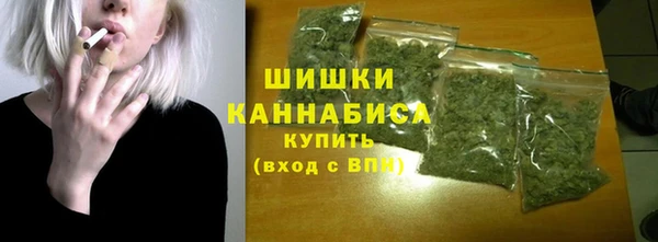 mdpv Богородск