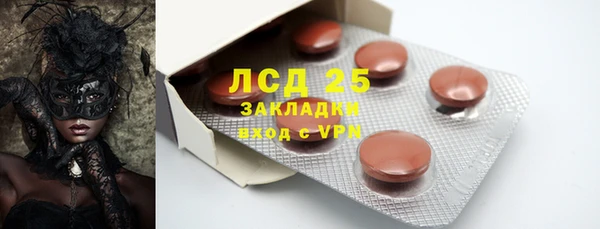 шишки Богородицк
