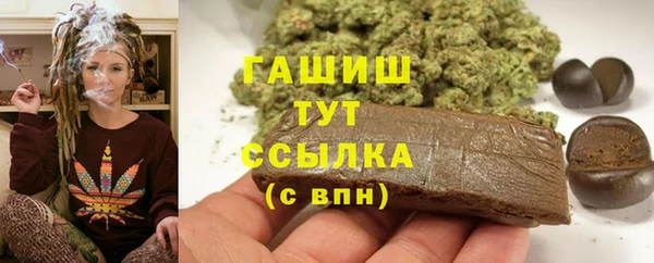 шишки Богородицк