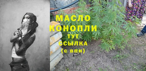 шишки Богородицк